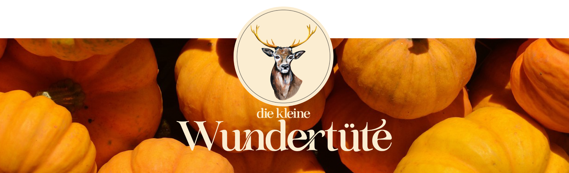 Die kleine Wundertüte - Boutique in Hittfeld/Helmspark - Mode für Sie & Ihn