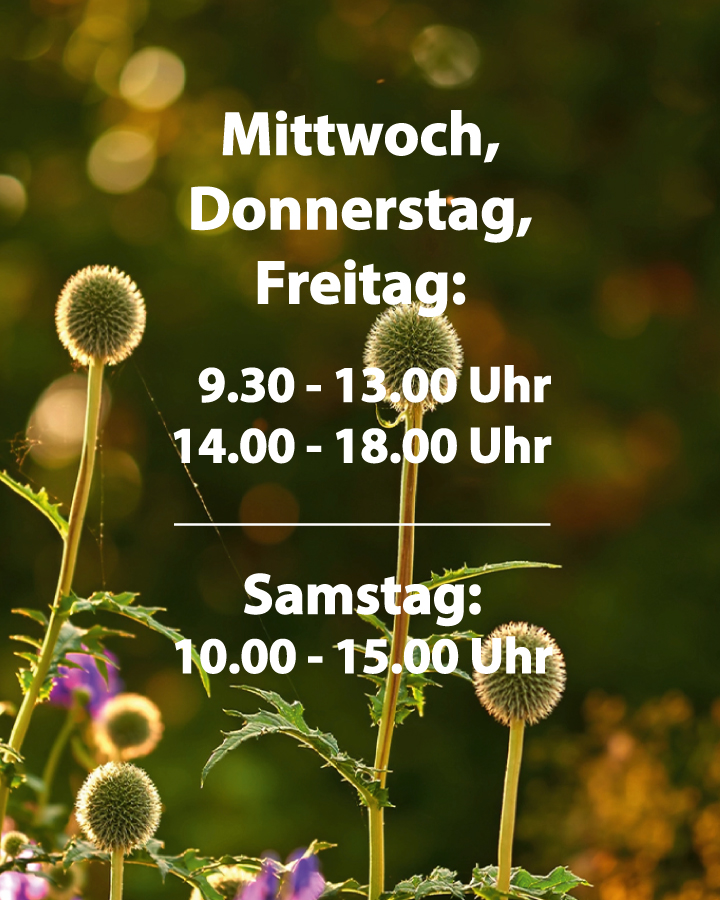 Öffnungszeiten - die kleine Wundertüte