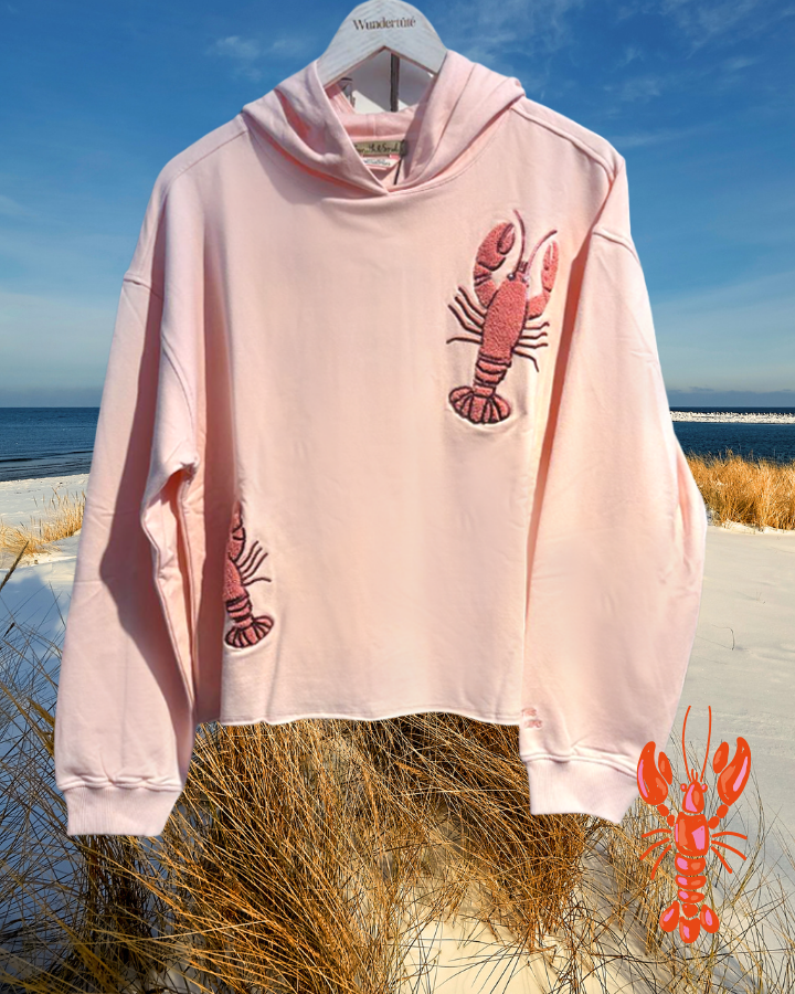 Sweater Lobster rose - die kleine Wundertüte